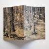 TALL TREES NOTEBOOK