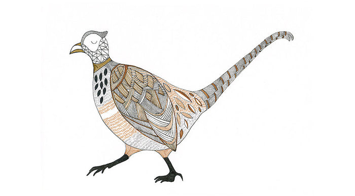 THE HAUGHTY PHEASANT by Sandra Ogg
